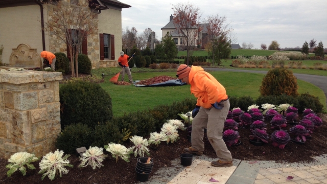 From Neglected to Nurtured: Unleashing the Beauty of Landscape Maintenance