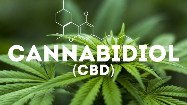 Unveiling the Potent Perks of CBD Products