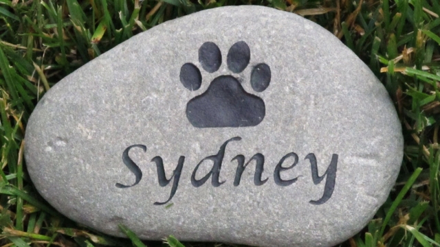 Forever in Our Hearts: Honoring Beloved Pets with a Memorable Memorial