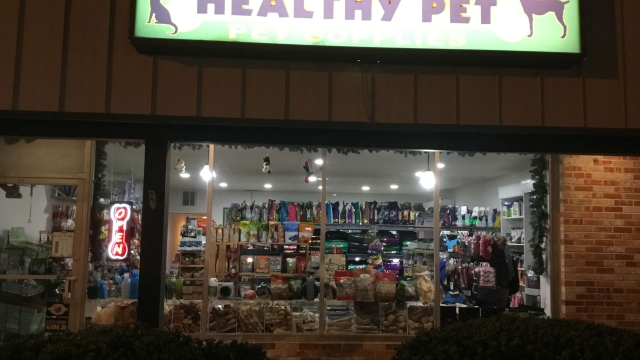 Purr-fectly Healthy: Unleash the Secrets to Optimal Pet Health