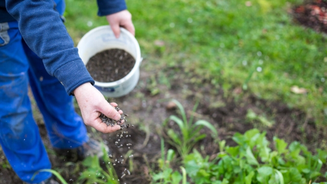 The Natural Powerhouse: Harnessing the Benefits of Organic Soils and Fertilizers