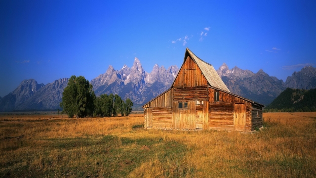 From Forest to Hearth: Unveiling the Extraordinary World of Log Cabin Builders