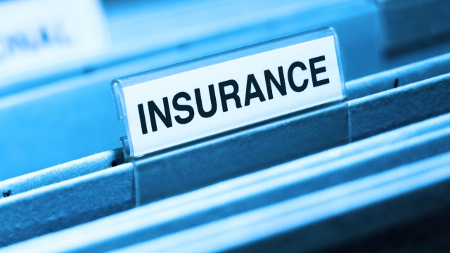 Fortifying Your Future: The Key to Success with Business Insurance