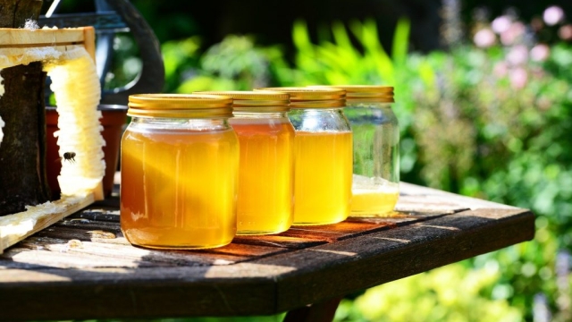 Mystical Delights: Unveiling the Secrets of Mad Honey