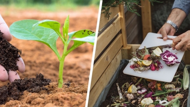 The Dynamic Duo: Unleashing the Power of Organic Soil and Fertilizer