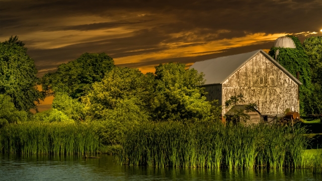 Unveiling the Serene Beauty of Coastal Farms