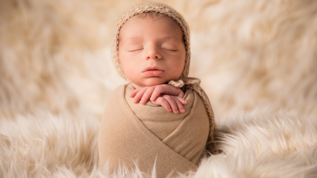 Capturing Moments: The Art of Newborn Photography