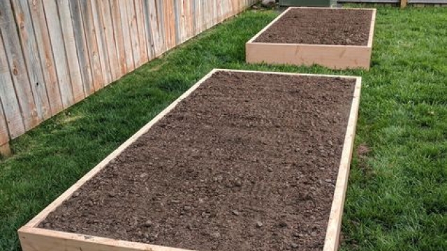 Blooms and Bounties: Unveiling the Art of Garden Beds