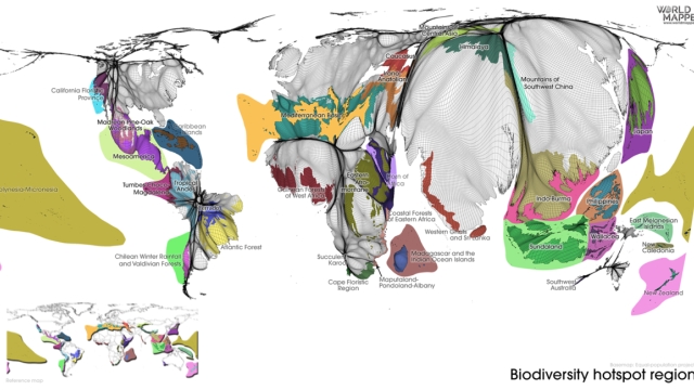 Harmony in Diversity: Exploring the Marvels of Ecology and Biodiversity