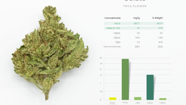 The Unveiling of THCA Flower: A Crystalized Euphoria