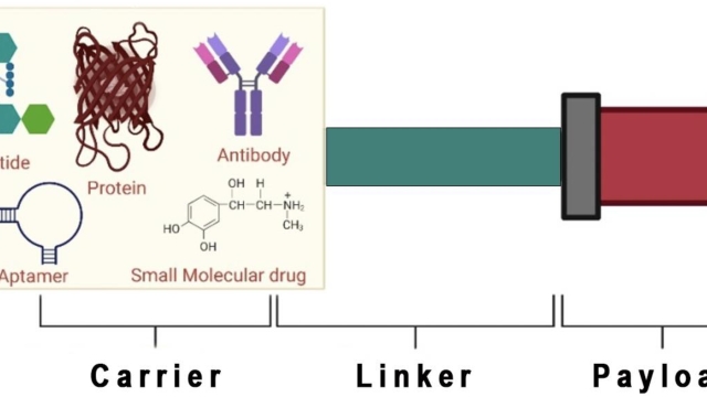 Unlocking the Power of Peptides: A Guide to Healthy Skin