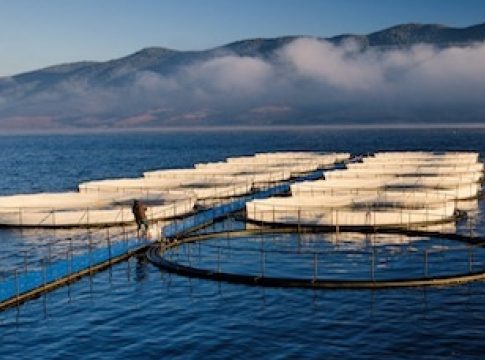 Revolutionizing the Blue Economy: The Future of Aquaculture Technology