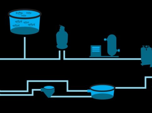 Revolutionizing the Sea: The Future of Aquaculture Technology