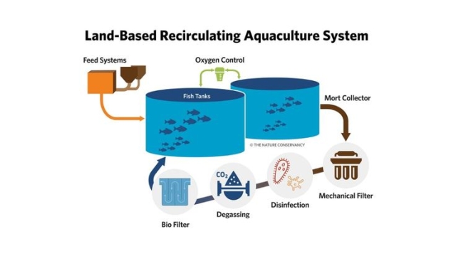 Revolutionizing the Seas: The Future of Aquaculture Technology