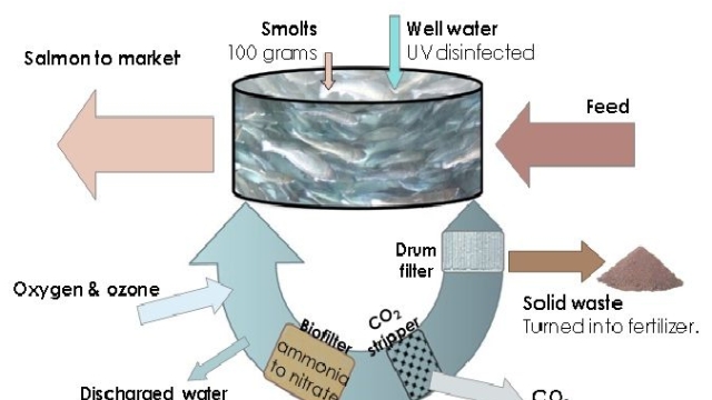 Revolutionizing the Waters: The Future of Aquaculture Technology